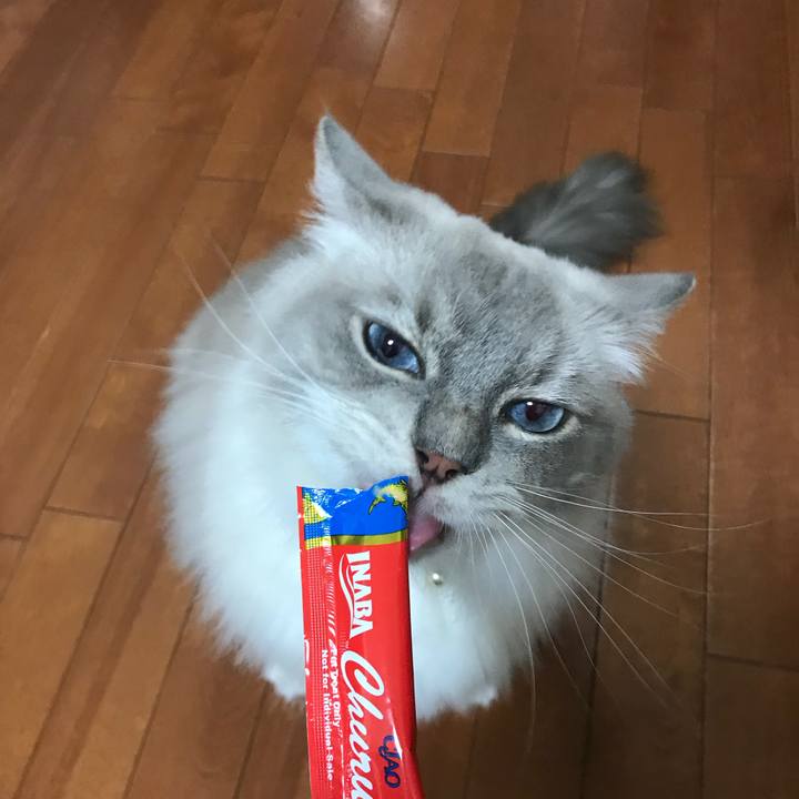 2c21c917 fb17 4226 add8 feac7f9c15b9 1537222478609