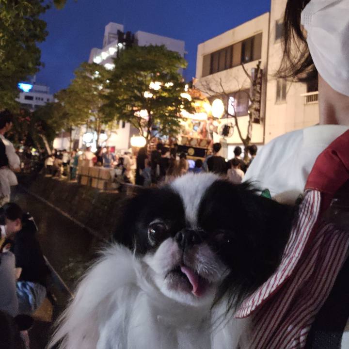 2c21d552 1c3b 4364 9599 28cf29ecf4ac 1690031054030