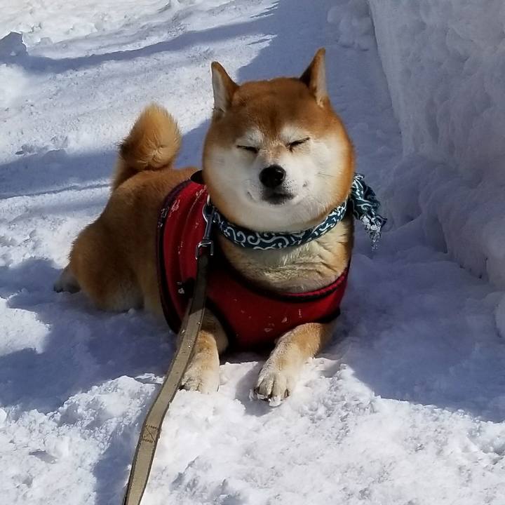 2c21f2a7 2b61 4468 a12d 3d9f9ccfef02 1519016075351