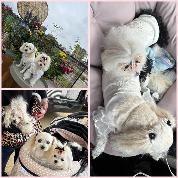 2c21fbf0 525b 430b b02e 11aad5bbd481 1760173113120