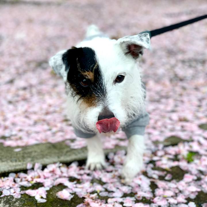 2c2200e0 a304 40e4 abb1 74e19caa593d 1712647965502