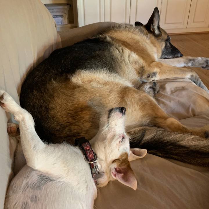 2c22077d 4f62 4554 b742 7cadbddafafd 1589153002418