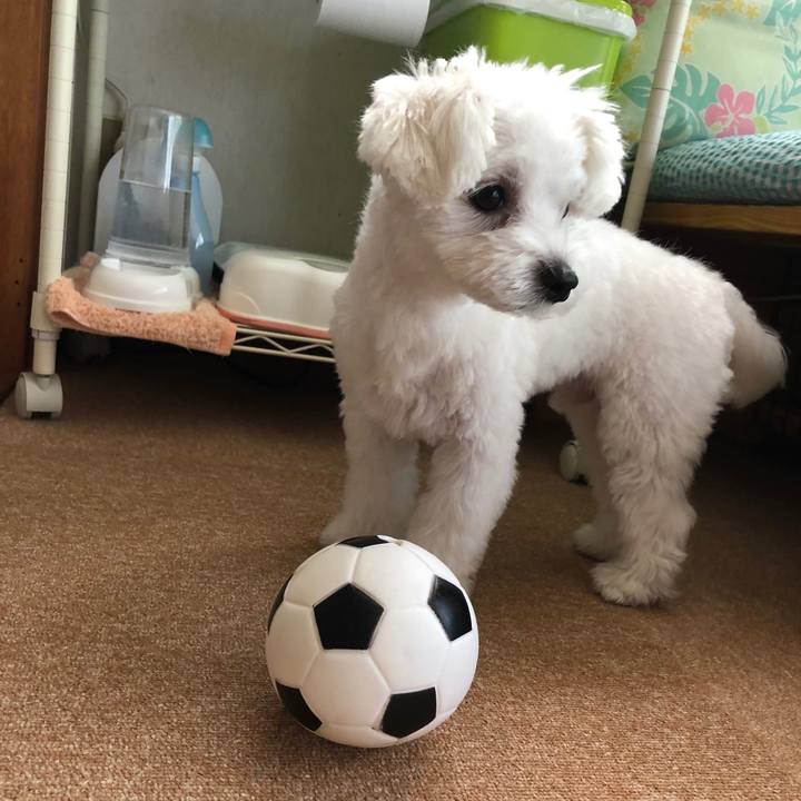 2c221d37 bfc8 4ee0 a496 4d00e50954ed 1533989219234