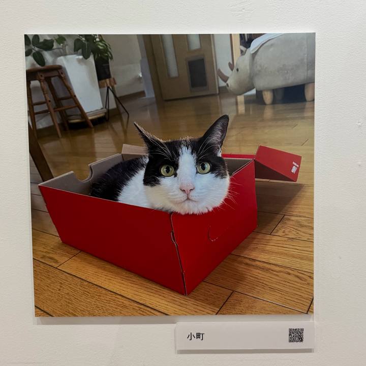 2c225190 cca1 4986 a3f7 b40e59104f27 1762053104635