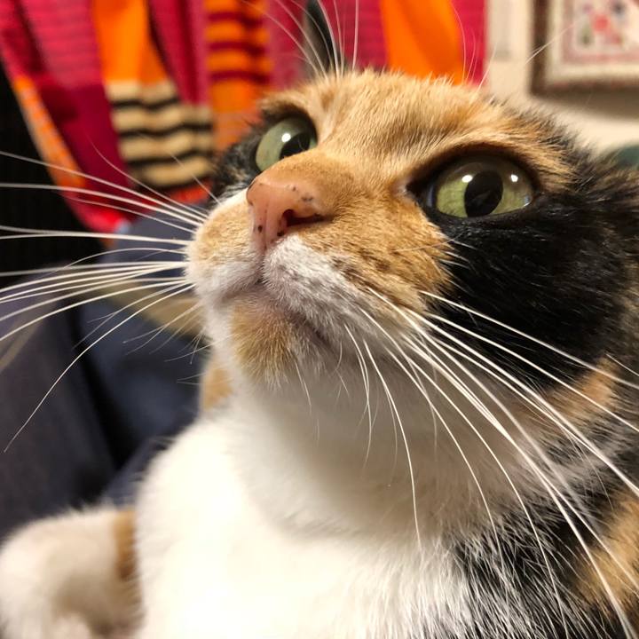 2c227166 48fc 4093 934f d2c23950c0a3 1528289089064