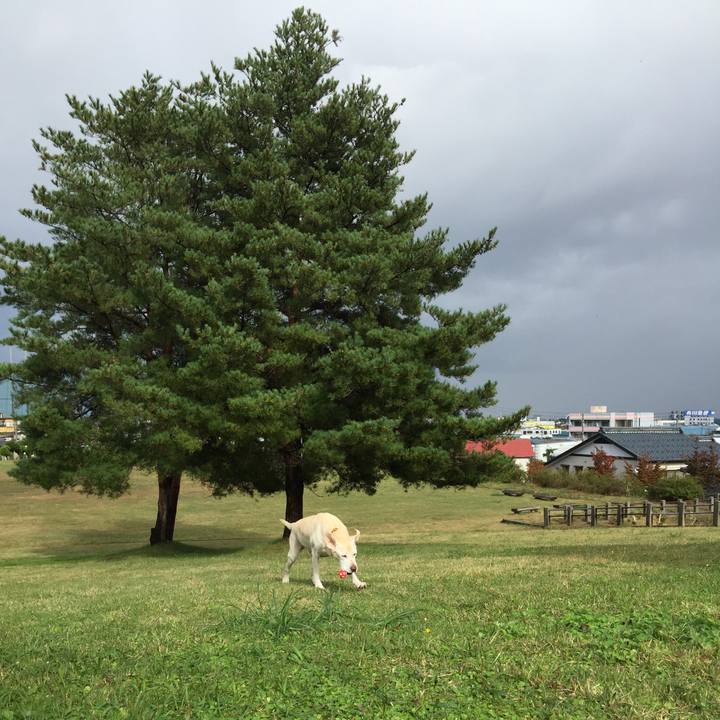 2c227419 8123 4d16 8654 2eb817bccd18 1509431746165