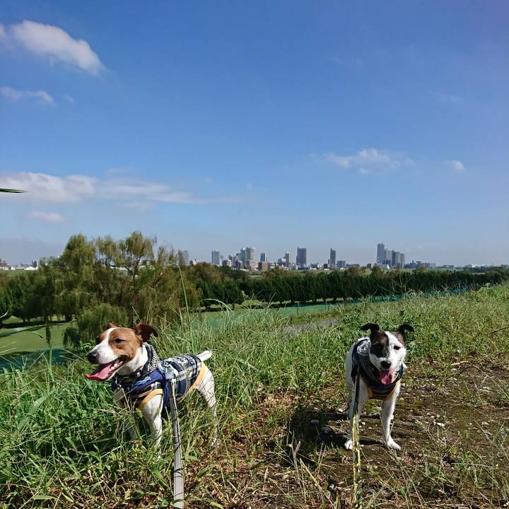 2c2282ab 1e2c 40aa bf4f 37c33b854580 1538794640805