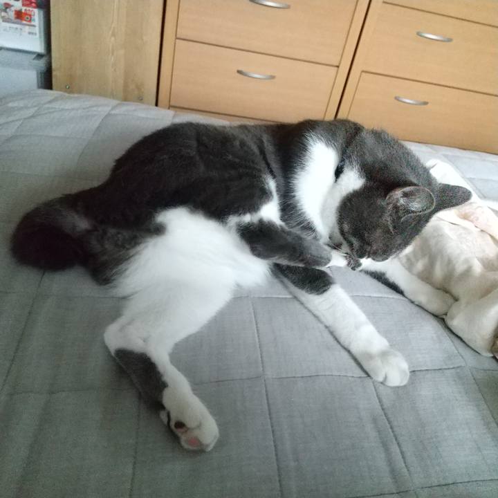 2c22a6d3 e884 47a8 b855 c01e351b2dad 1602210298735