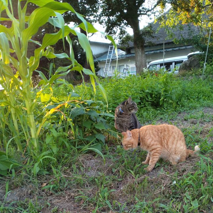 2c22cd9c 3c82 4a6a 872b 45de1db8ba5b 1690281747429