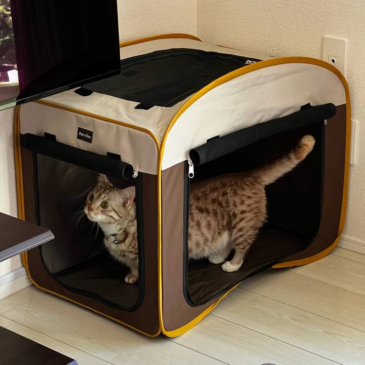 2c22e24b 6b2d 479c 9cb8 128b893bc1a8 1659059475983