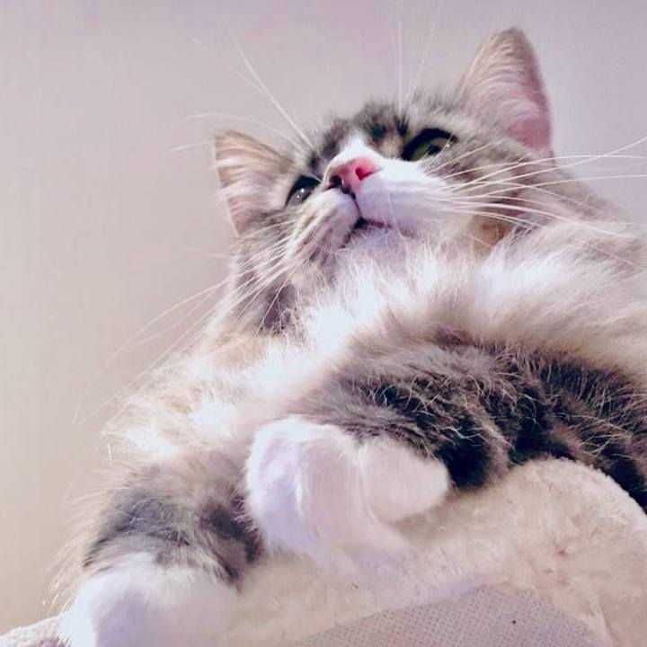 2c23957b af27 42be ba72 357d561bad2b 1764429914422