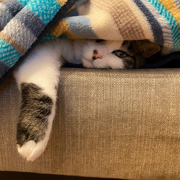 2c239f41 56db 433f a6ca 12f3ba01edaa 1611455697135