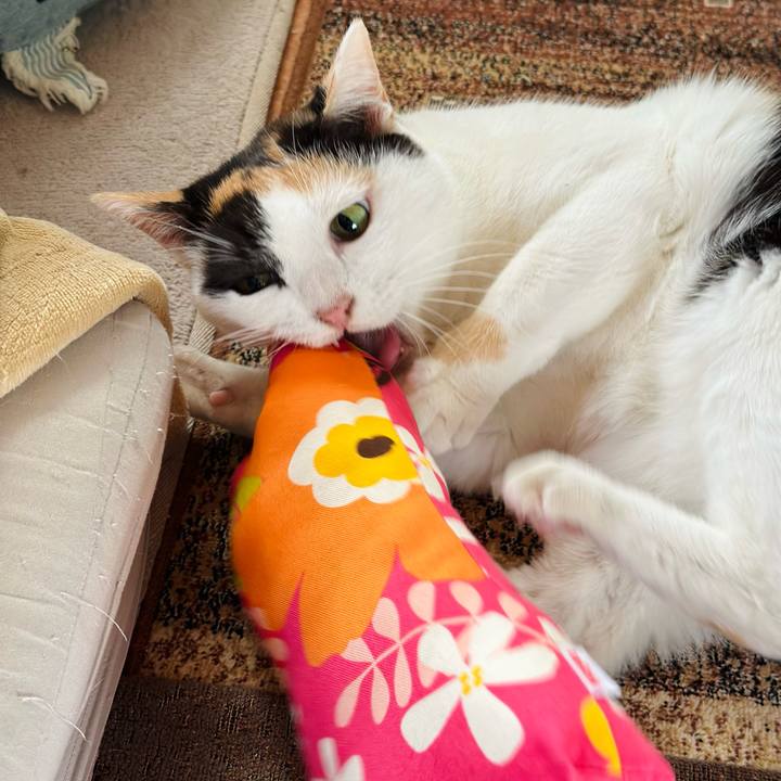 2c23d136 102b 431c 8a36 c94ced14ac2f 1668565869232