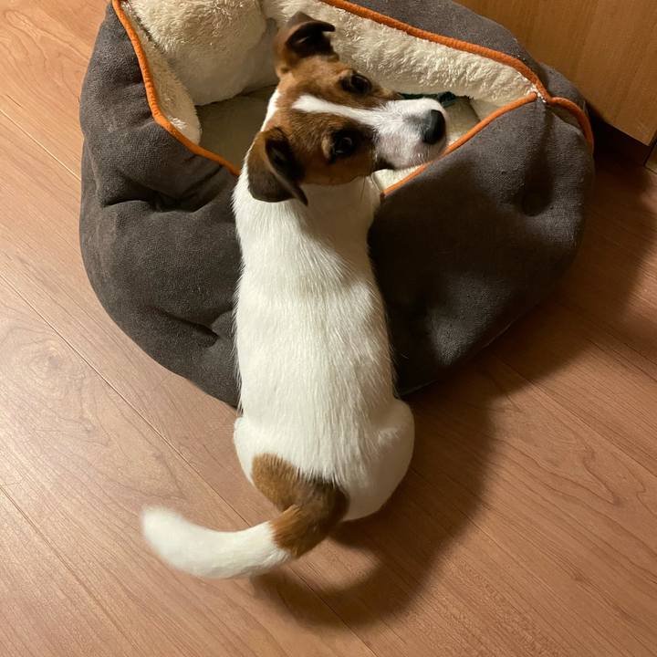 2c23e074 99bd 4f55 a4f1 4187a90f1d38 1621253040020