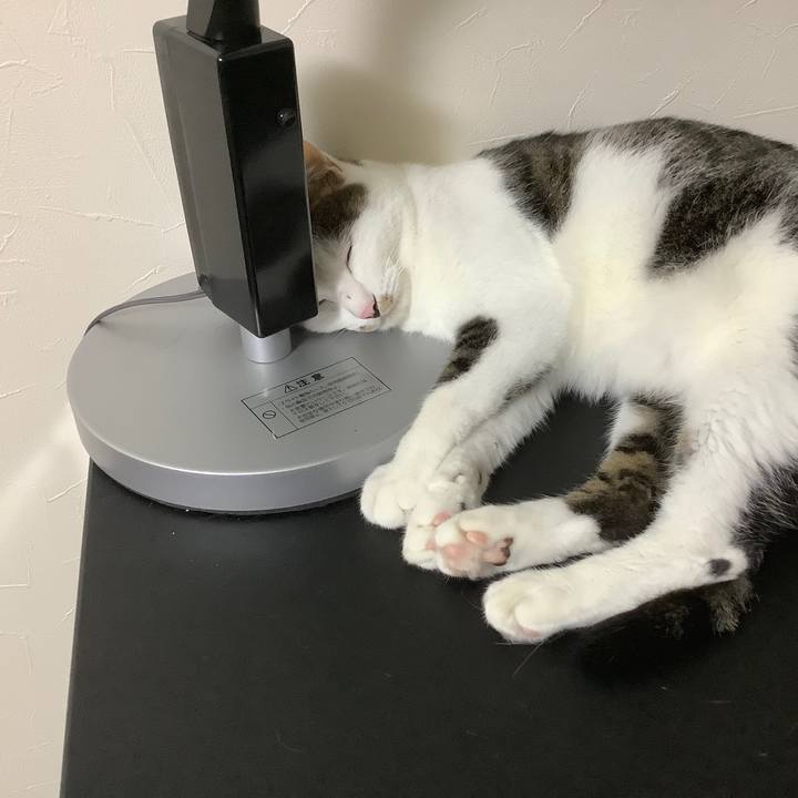 2c23ef43 51f7 4e9a 8a5a 25dd3a7159cc 1565528268126