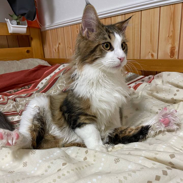 2c241564 bdb2 4f6e 8641 2ce9d5826def 1639689966403