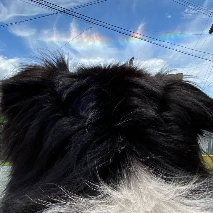 2c247361 62eb 4875 9659 8d00be5f1d35 1628997151602