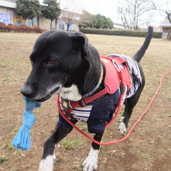 2c24a162 a0de 4aa9 9a43 917fdf3d2de4 1677803554387