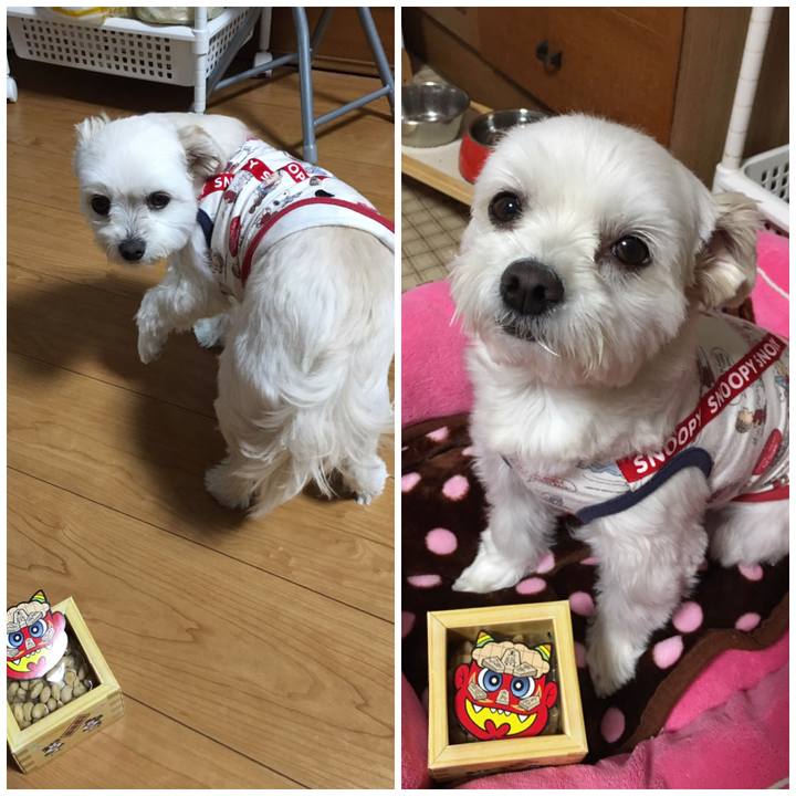 2c24a7f6 c01b 4169 a701 714ab54d8ec7 1549168128114