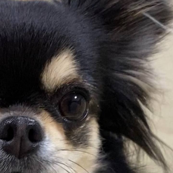 2c25264a 80dd 44e7 ba7c 8cbd08805446 1615462735178