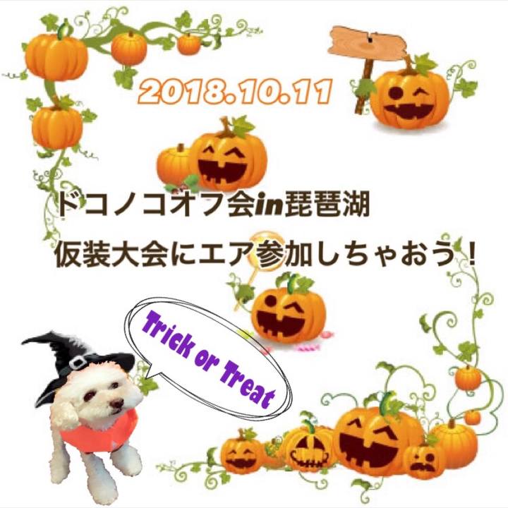 2c254767 d94f 4222 8a27 ff250107c05f 1539056893879