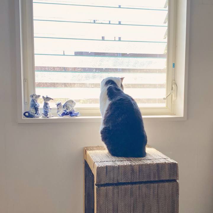 2c2557e2 f357 4947 bb91 fc89a9001d41 1616467218191