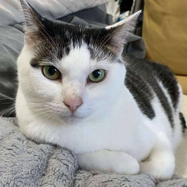 2c255cb6 0806 4f32 82a9 b9c8d08f836b 1765006947380