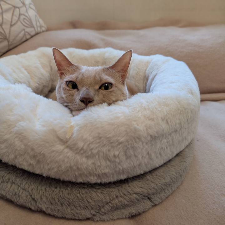 2c2574c7 3587 47d1 8bfd b75a8bedc7ba 1764543247852