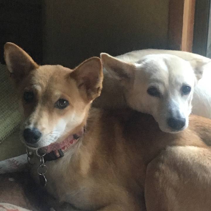 2c258cea a89f 4eb0 87b6 831735b285ef 1509579165317