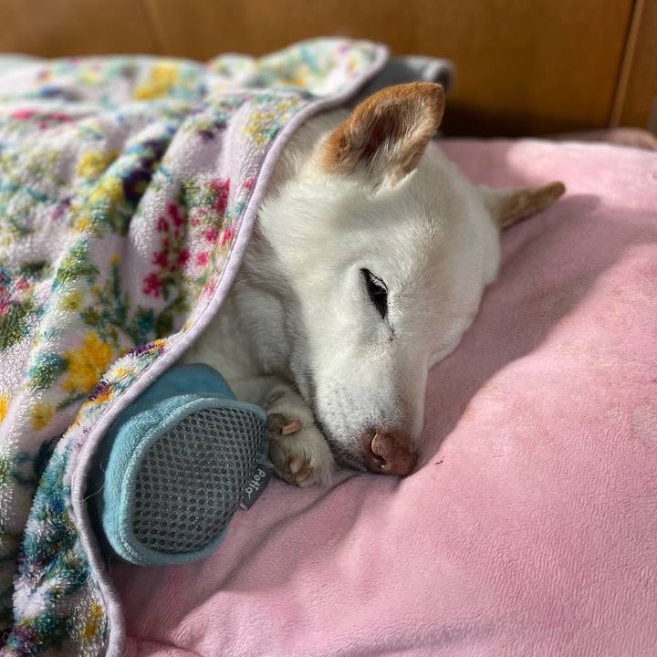 2c25aa65 68ac 4956 a3c6 bf9ac063bb11 1646733589908