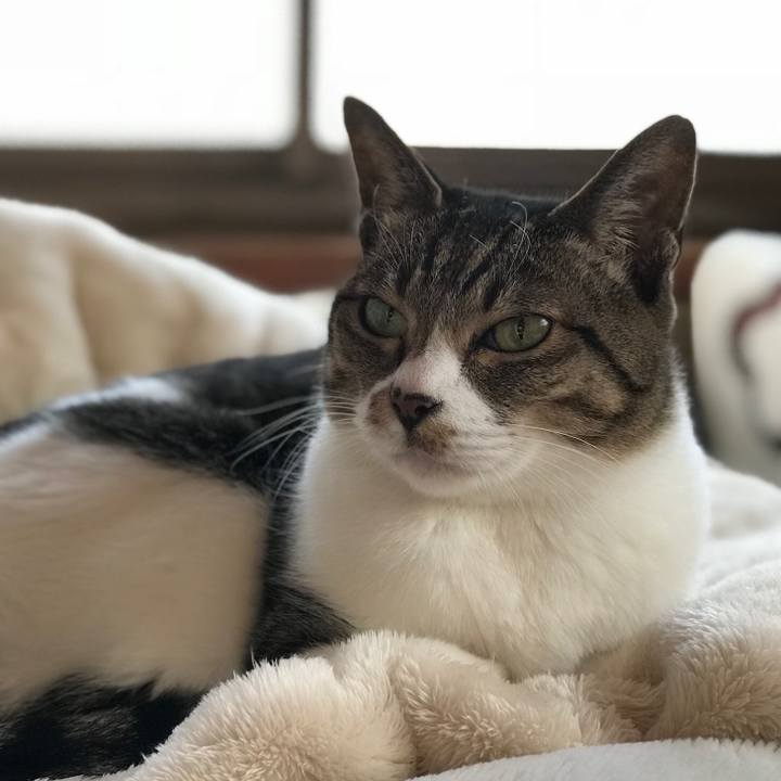 2c25b855 9c57 41c2 bc3e fb445c1e1412 1513905085472