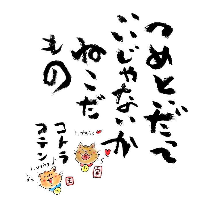 2c25bb23 a95c 42f0 ba41 b24dcb26c0ff 1587474798533