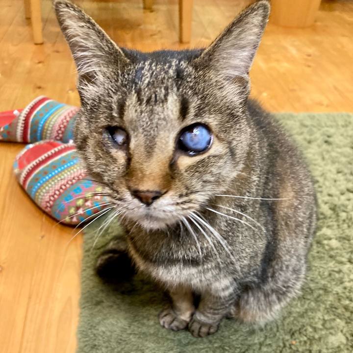 2c2636d3 1a53 45dd b93a a02e5cf7d98d 1651323978702