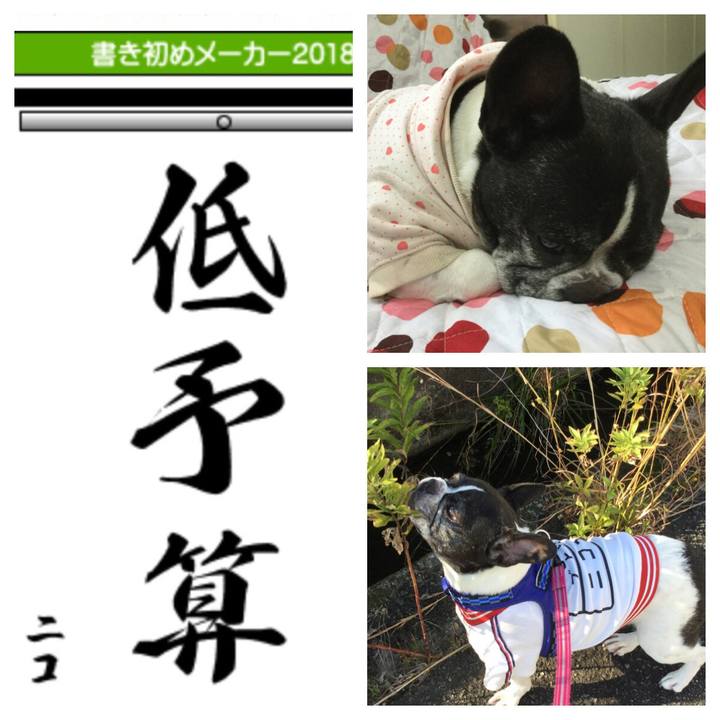 2c26a737 6593 4dd9 88cc 9a74e32074c3 1515066403688