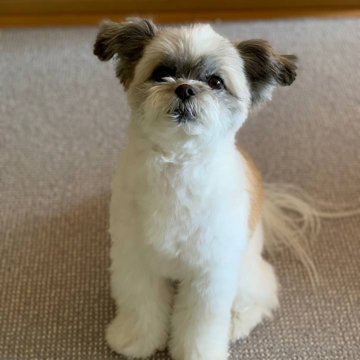 2c26c4d4 5d96 427b b587 cfadcfb5d590 1579854765148