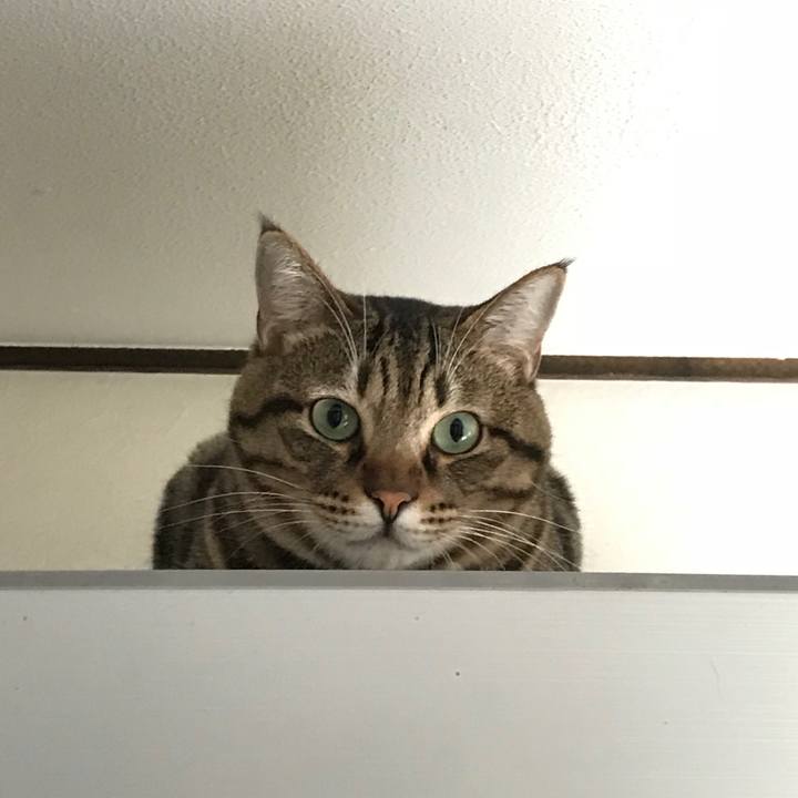 2c26df7d 5264 4bcc be00 7d4695d40eee 1507859027303