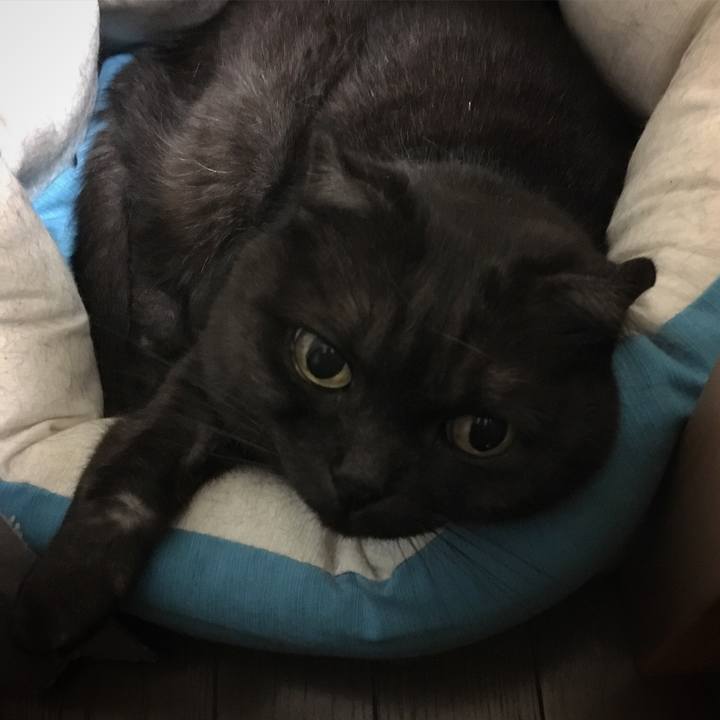 2c271993 bb3f 42ff a172 fc5ea13cc8f2 1563200553522