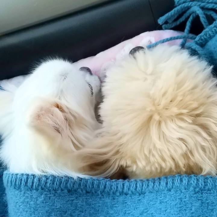 2c2719f5 8e0e 472f a078 0af516cb4236 1642316632048