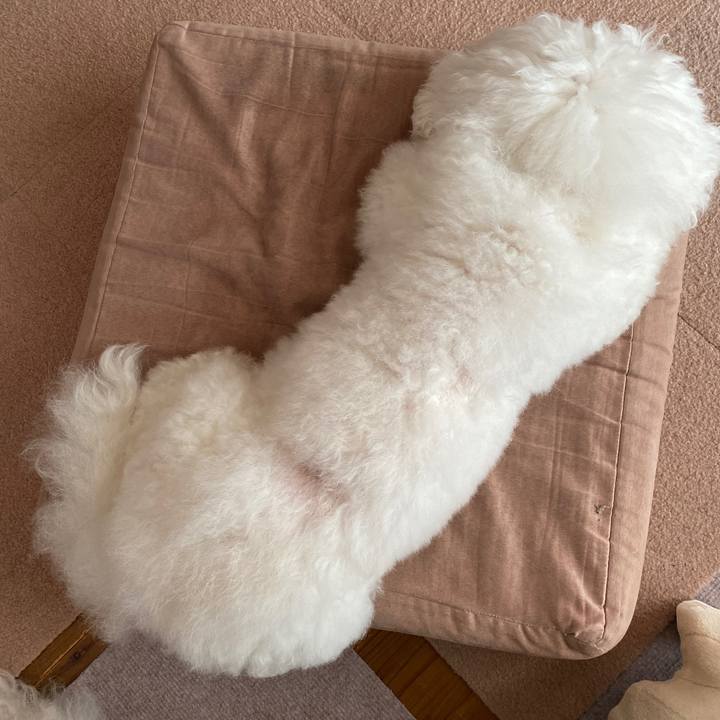 2c2742b2 ffde 494e 8097 0c732789fde3 1632375176401