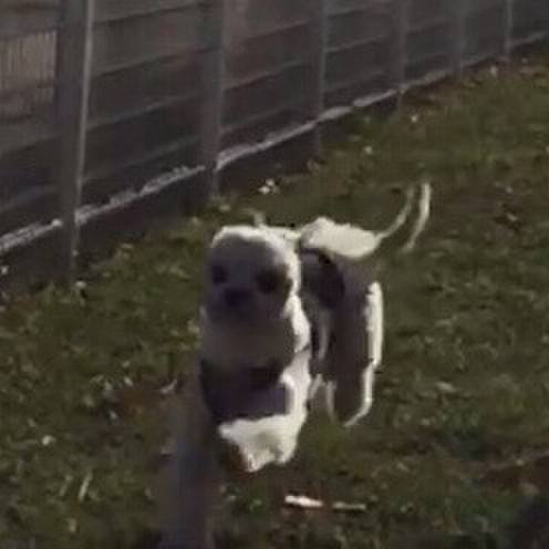 2c27b750 c2a4 446e afe8 4d07f528bc38 1535536151059