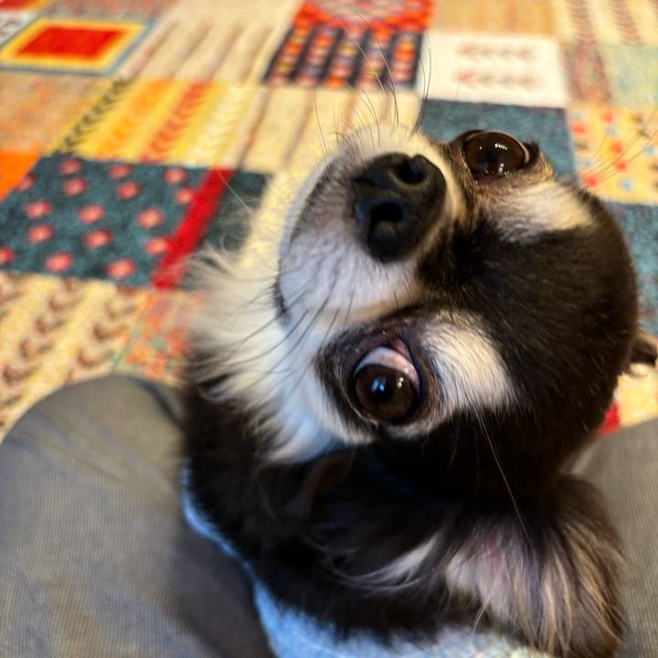 2c281ad6 4c48 4f86 98c0 38e889ebae75 1726502860652