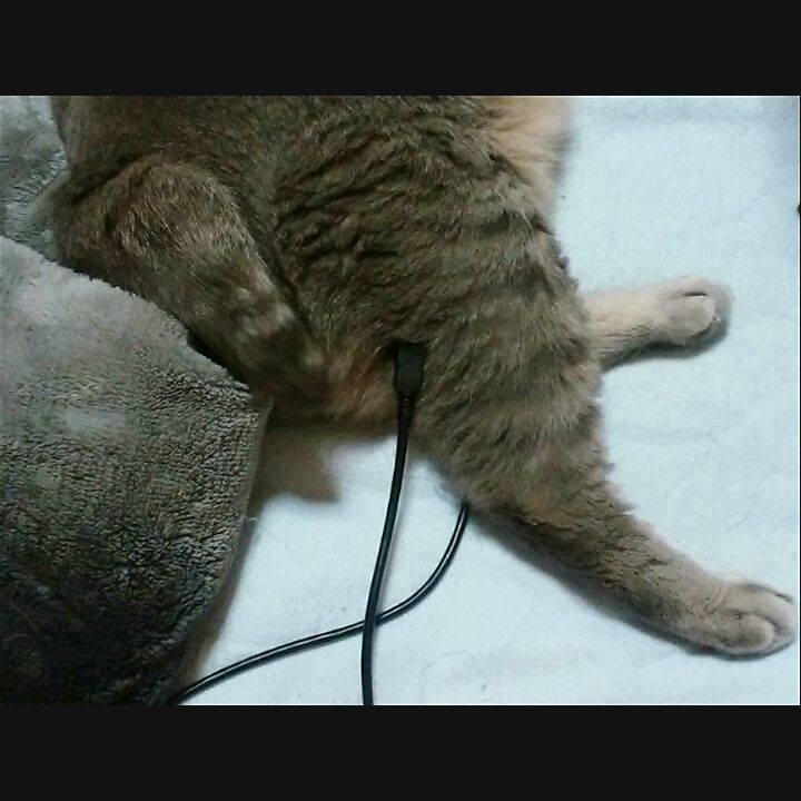 2c2833db 3395 4ce0 a394 b236ffb3baeb 1589805378093