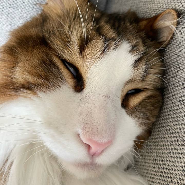 2c285468 edb0 4495 a876 01c8aa1711c6 1686384348320