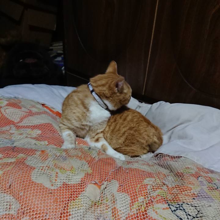 2c286ef4 296a 47e8 83cd 513ab3240bf4 1587641817138