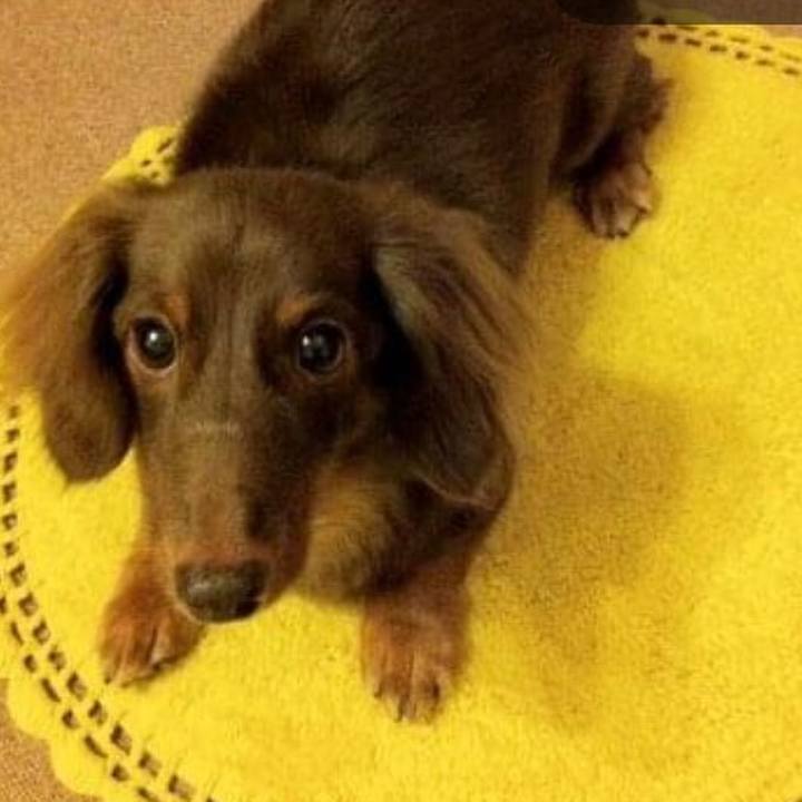 2c2891cf f4e5 4ac8 87d8 a481f0e189fd 1595027743122