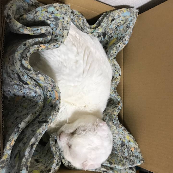 2c2898d5 3a3b 4df8 abec 2fdb8dd46a25 1539087167732