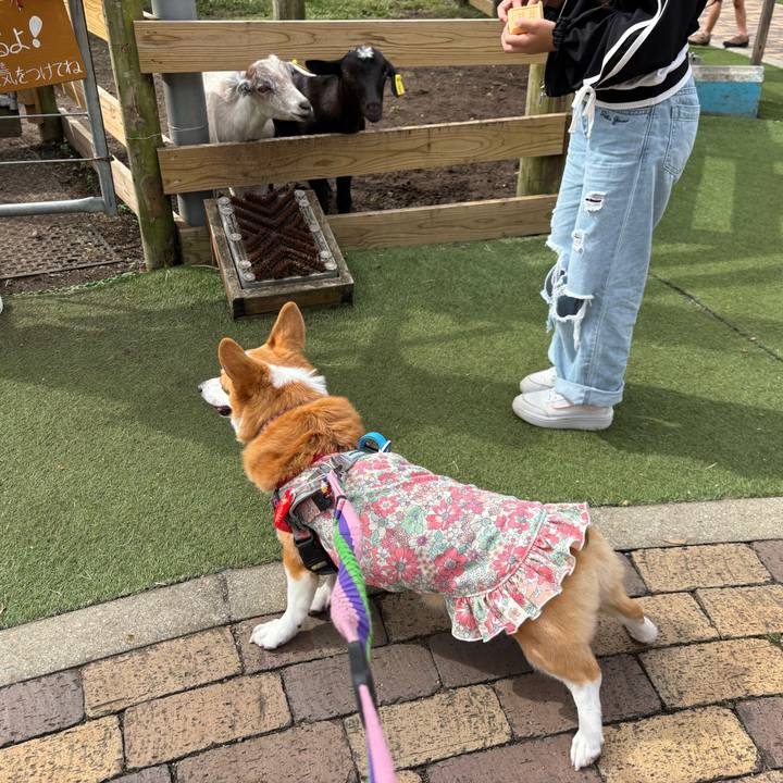 2c289ca4 27c5 4227 8ce6 88739c5f7d23 1760340880644