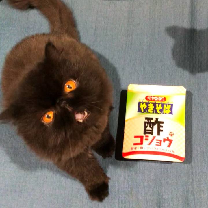 2c28a836 e0fa 4829 90ac 9b4dd9093788 1628671379396