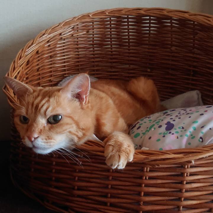 2c28fba2 19c4 4b02 bcd5 1b1175db65c6 1695713260582