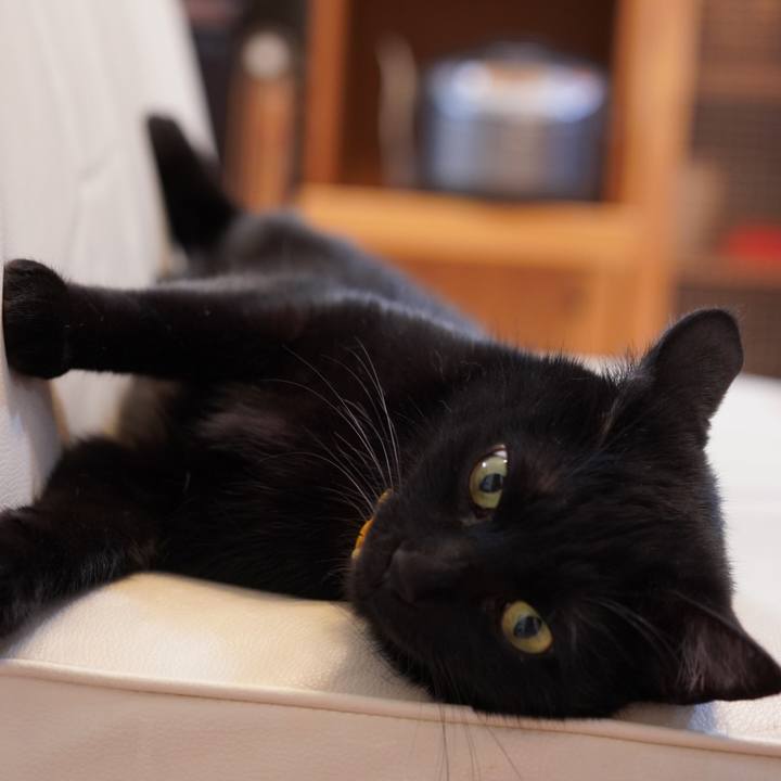 2c28ffc2 bb81 46df ae26 095c1b38c9dd 1621247616719